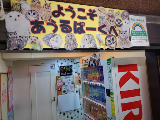 あうるぱーく フクロウカフェ池袋 (Tokyo owlcafe Owlpark))