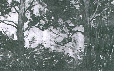 LAS WIOSNą