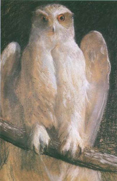 SOWA