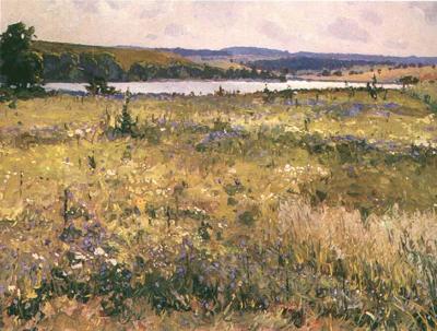 ŁąKA NAD RZEKą