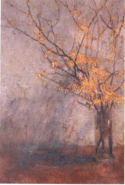 FORSYCJE W WAZONIE