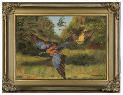 WILGA I KRASKA, 1896