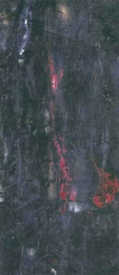 PłETWA