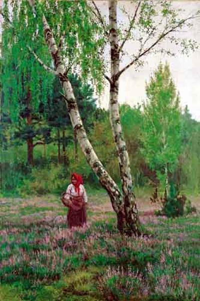 WśRóD WRZOSóW