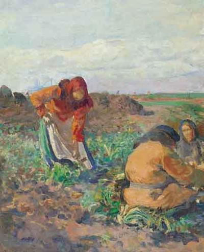 KOPANIE BURAKóW, 1911
