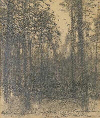 LAS - STUDIUM DO GłUSZCA, OK. 1890