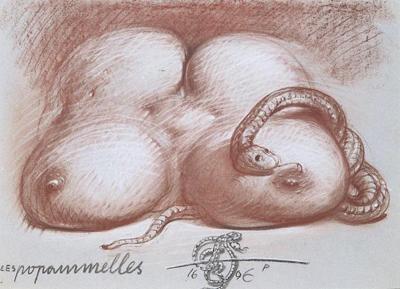 LES POPAMMELLES