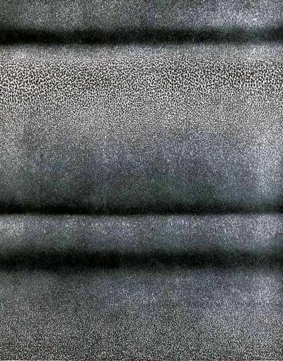 METEMPSYCHOSIS, 1970