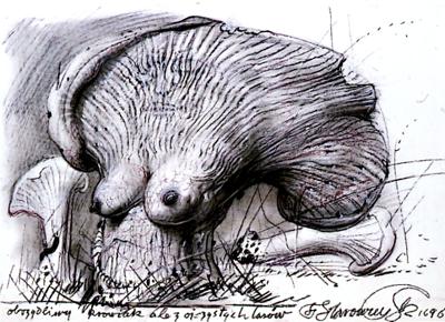 OBRZYDLIWY KROWIAK..., 1996
