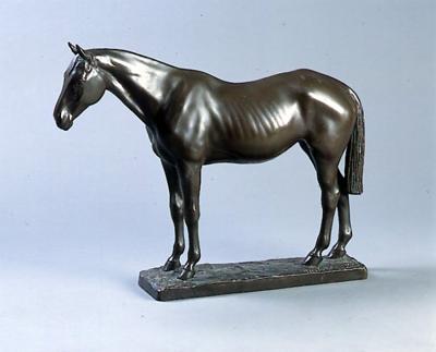 KOń, 1906