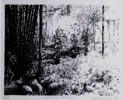 OGRóD NA PILICKIEJ, 1982