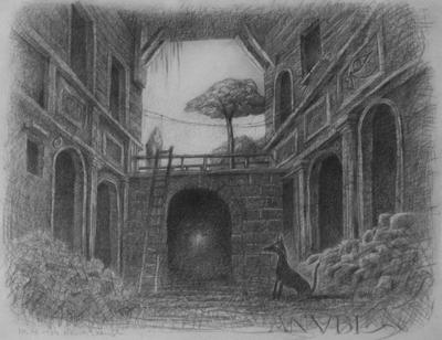 ANUBI, 20 VI 1984