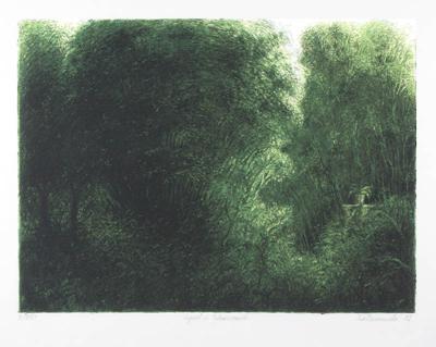 OGRóD W WARSZAWIE, 1982