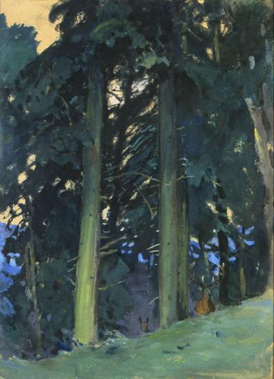 LAS SOSNOWY, PRZED 1909
