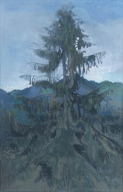 SAMOTNY ŚWIERK, 1907