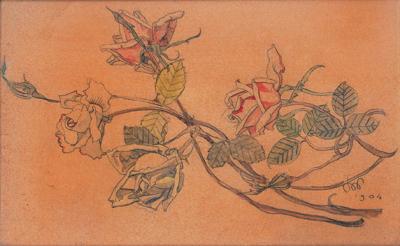 RóżE, 1904