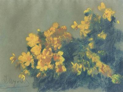 KACZEńCE, OK. 1910