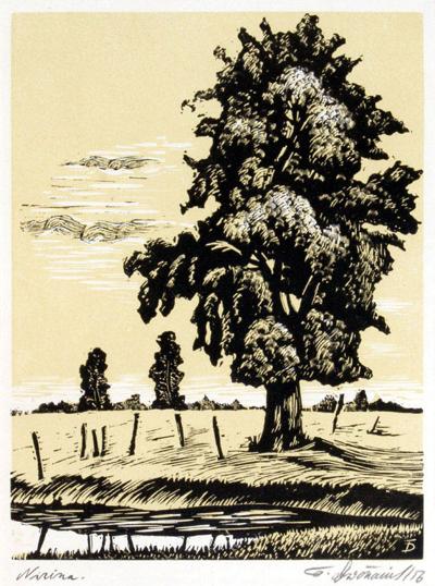 NIZINA, 1956