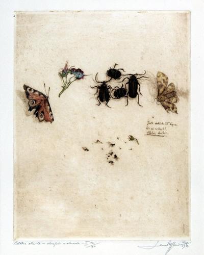 ULOTNE CHWILE, 1973