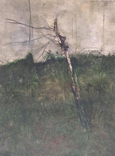 SUCHE DRZEWO, 1989