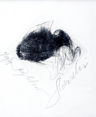 RYBKA, 1994
