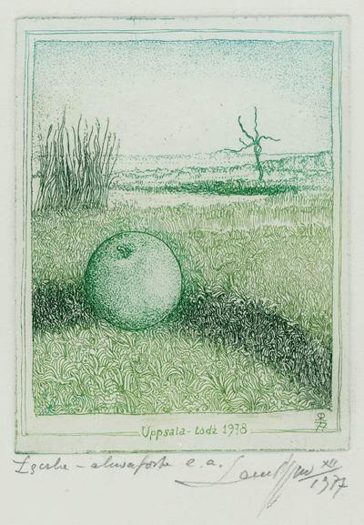 ŁąCZKA, 1977-1978