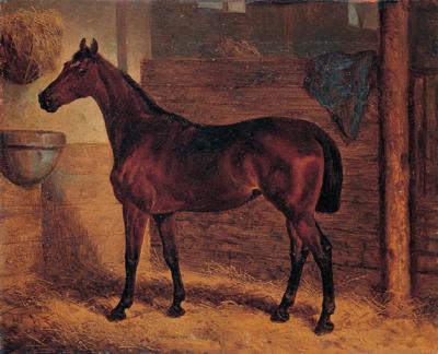 W STAJNI, OK. 1860