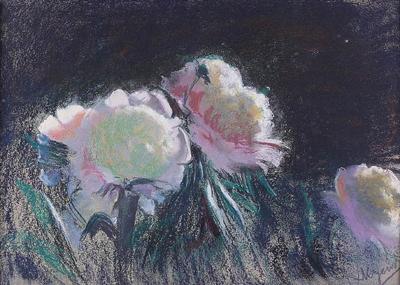 PIWONIE, 1900-1910