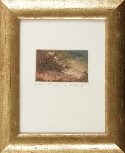 OPOWIADANIE 66, 1997