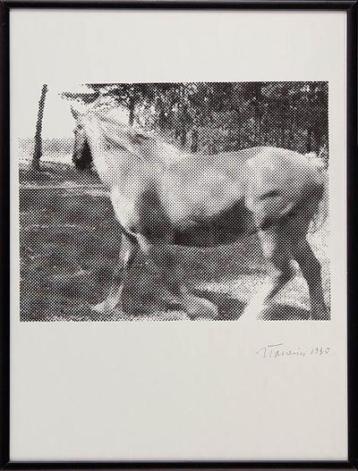KOń, 1990