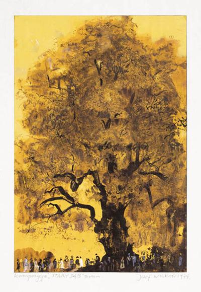 STARY DĄB, 1974