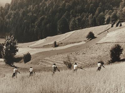 ŻNIWA, 1968