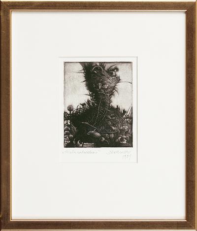 MAŁA NATURALNOŚĆ, 1981