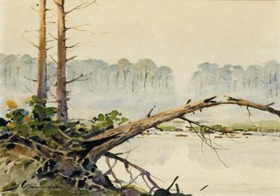 MGŁY NAD JEZIOREM