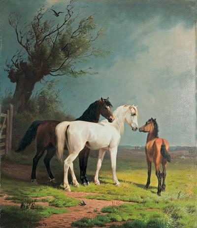 PARA KONI I ŹREBAK, 1874