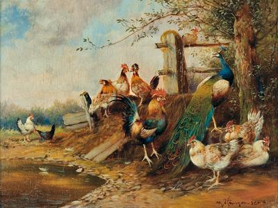 NA PODWÓRKU – KURY I PAW, PO 1920