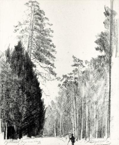 DRZEWA. DROGA W LESIE, 1921