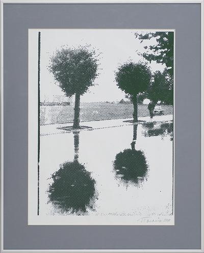 DRZEWA, 1990