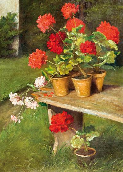 PELARGONIE, 1918