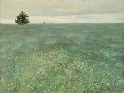 ZIELONY ŁAN, 1923