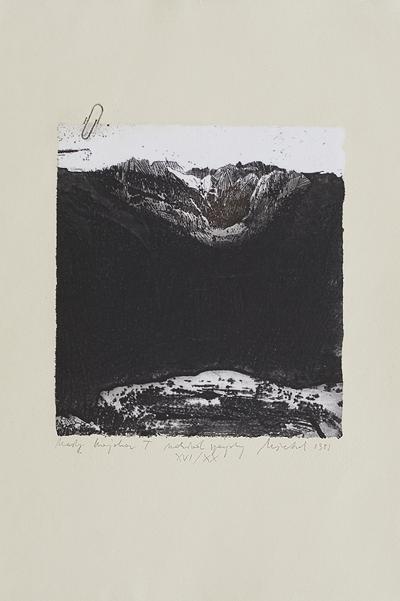 MAłY KRAJOBRAZ T, 1981