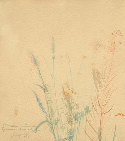 TRAWY, 1928