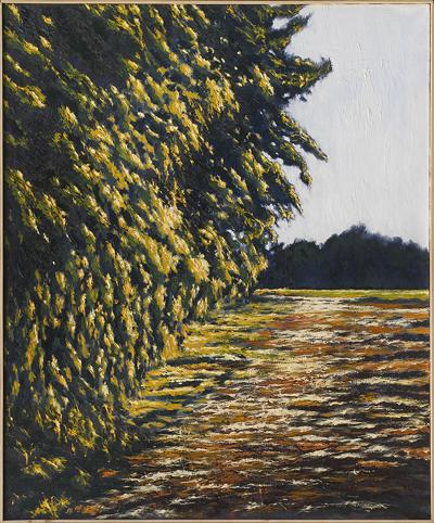 ZACHóD SłOńCA W SUPRAśLU, 2009