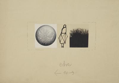 ILUSTRACJA DO "ODRY"