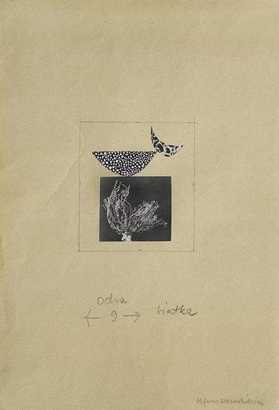ILUSTRACJA DO MIESIęCZNIKA ODRA