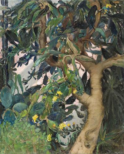 OPUNCJA W OGRODZIE BOTANICZNYM W WARSZAWIE, 1956