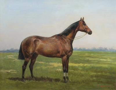 KOŃ WYŚCIGOWY, 1886
