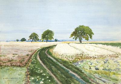 LATO, PEJZAŻ Z WOLI RAFAŁOWSKIEJ, 1915