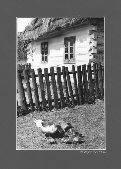 WIEJSKA ZAGRODA, 1941