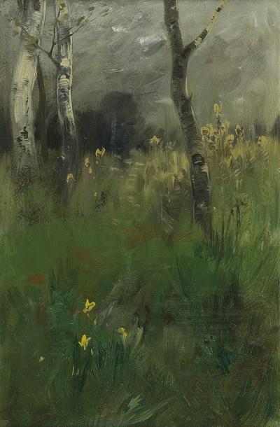 BRZOZY, OK. 1915